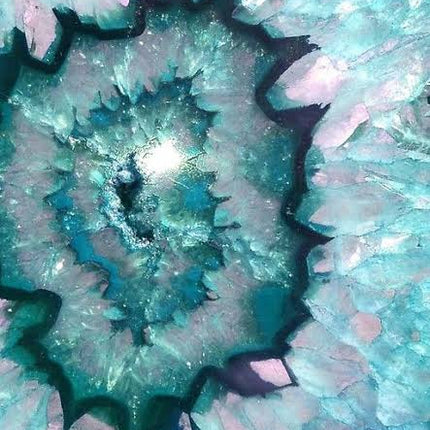 Collection image for: Home page