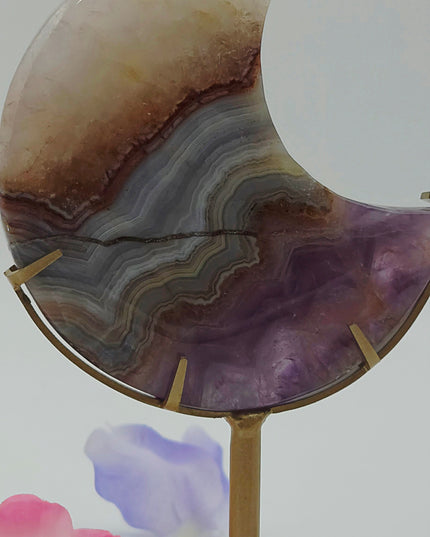Crazy Lace/Amethyst Moons