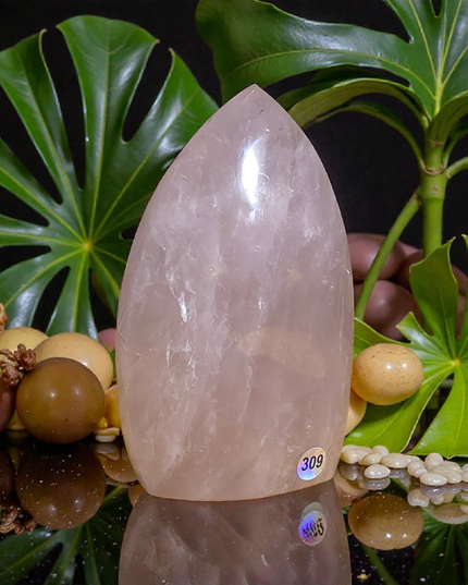 Rose quartz teardrop freeforms