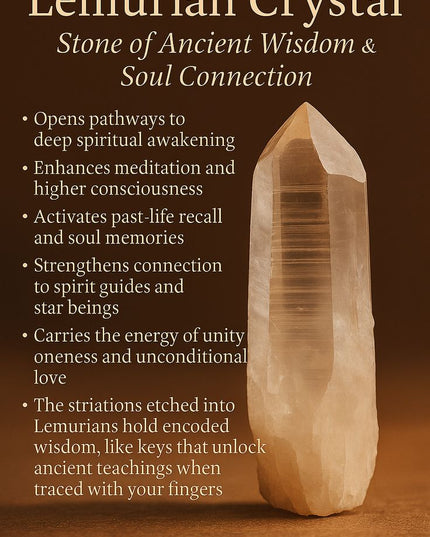 CRYSTAL BIBLE