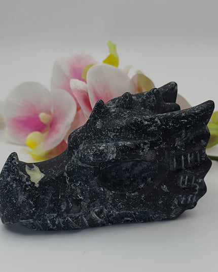 Crinoid Fossil Jasper Dragon Head Carving