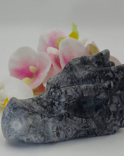 Crinoid Fossil Jasper Dragon Head Carving