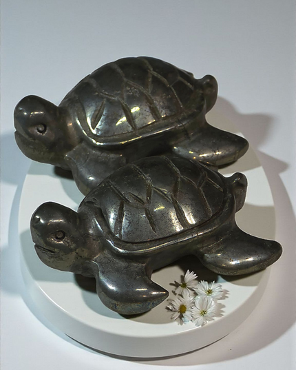 Pyrite turtles