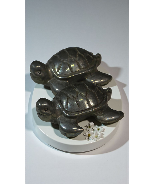 Pyrite turtles