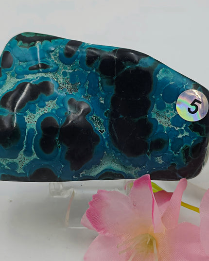Stunning Chrysocolla & Malachite Freeforms