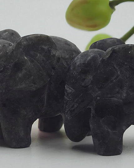 Elephant carvings