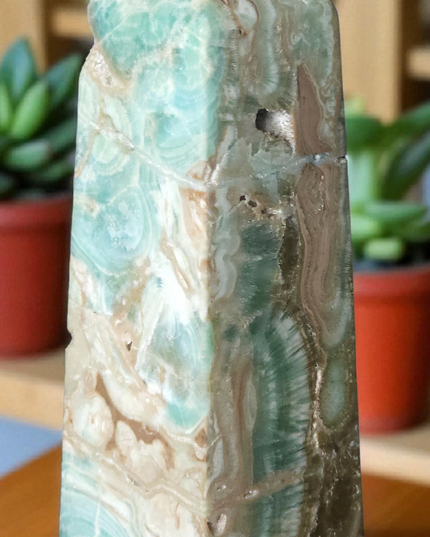 Caribbean calcite tower