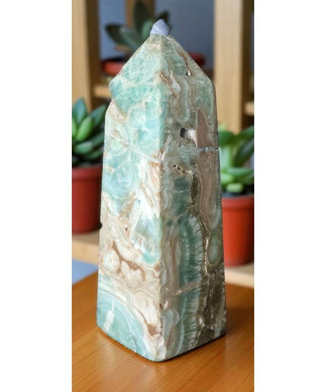 Caribbean calcite tower
