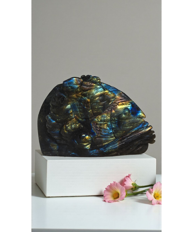 Amazing flash high grade labrodorite fish family carving