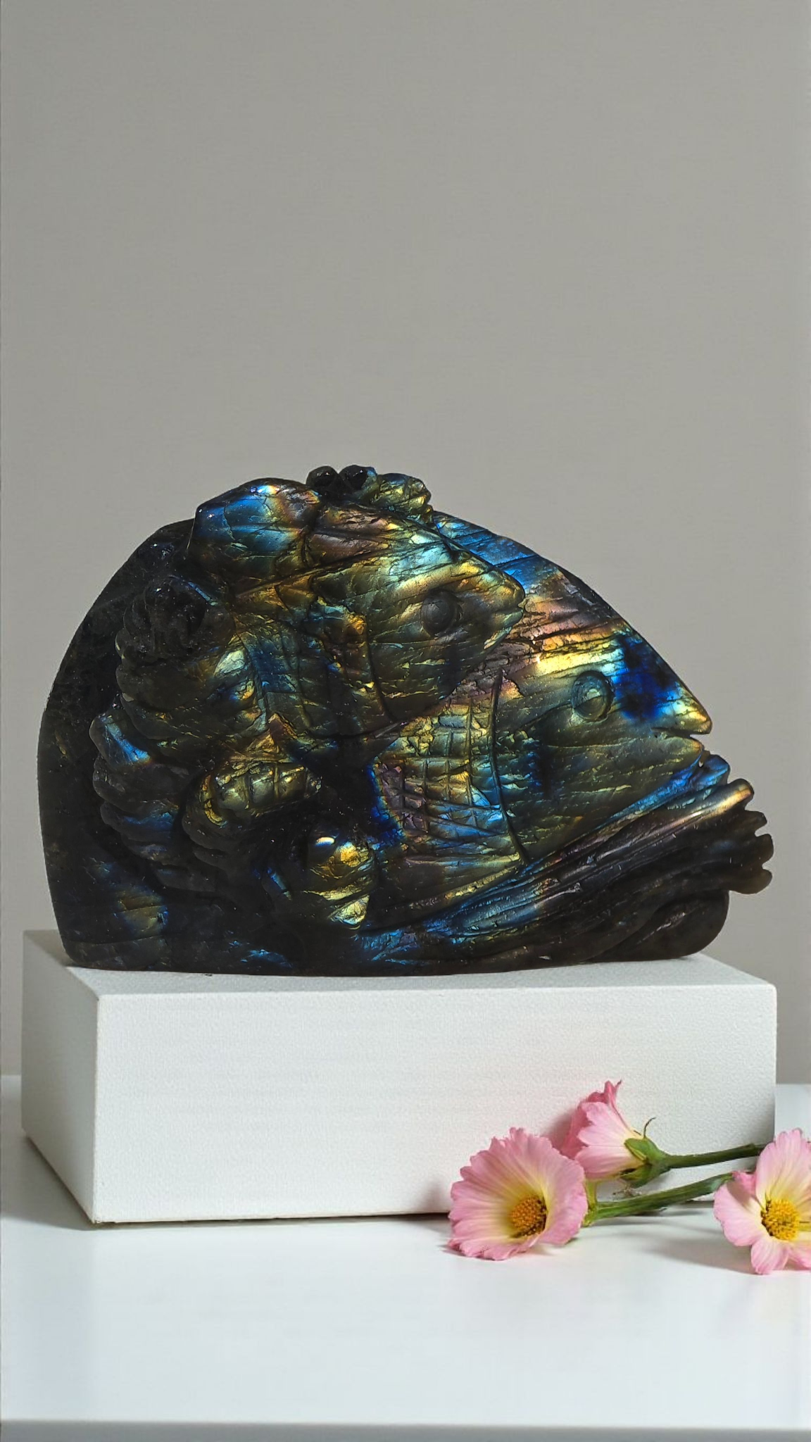 Amazing flash high grade labrodorite fish family carving