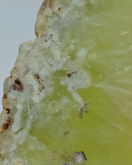 Prehnite slice with Natrolite