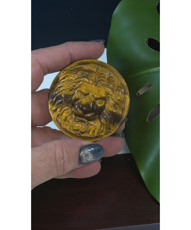 High grade tigers eye lion medallion