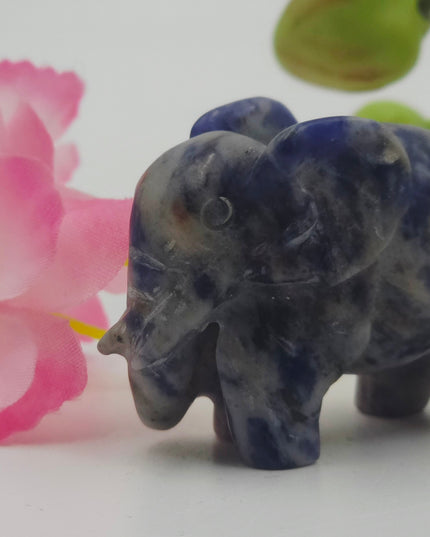 Elephant carvings