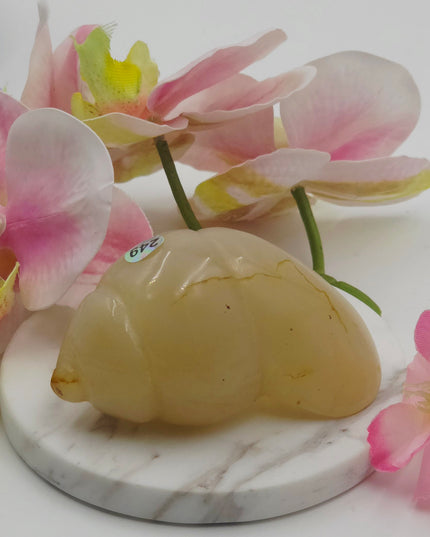 Carnelian Snail Shell Carving