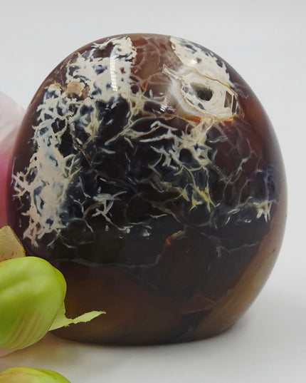Madagascan Carnelian Agate freeforms