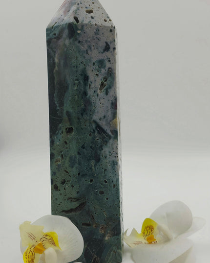 Ocean Jasper Tower xl