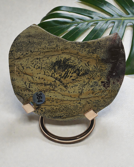 Picture jasper moons