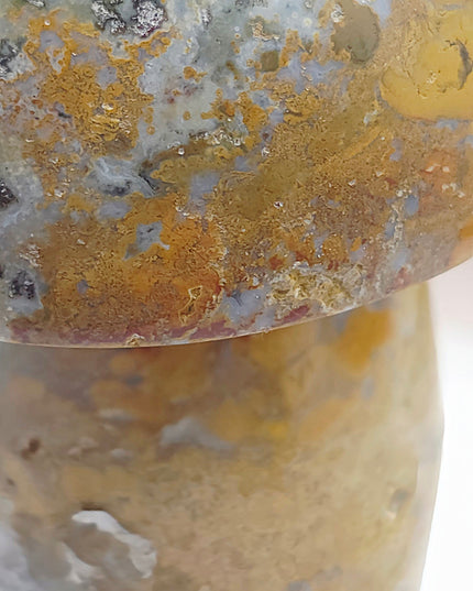 Ocean jasper mushroom