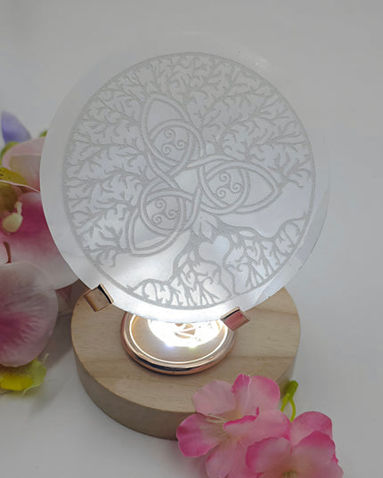 Salenite charging plates