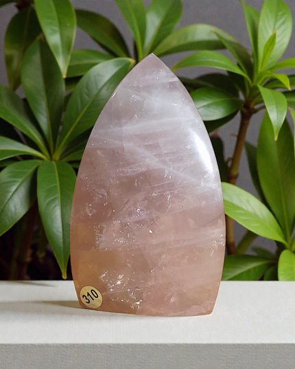 Rose quartz teardrop freeforms