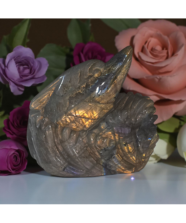 Full flash high grade labrodorite dolphin carving