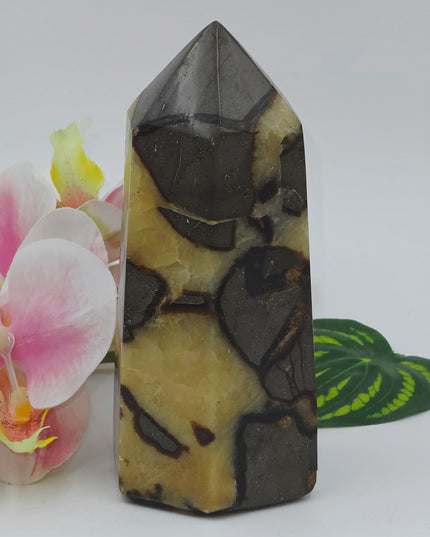 Volcano agate