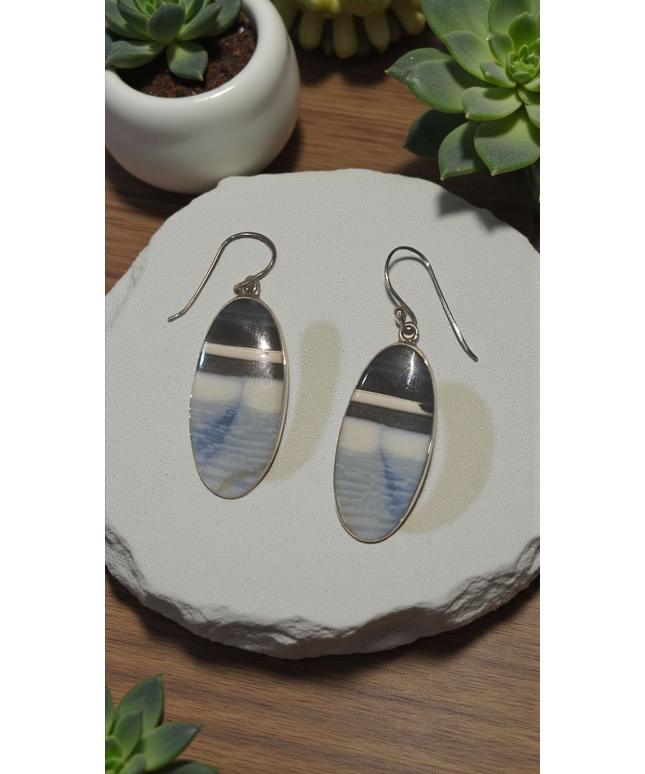 Botswana agate earrings sterling silver