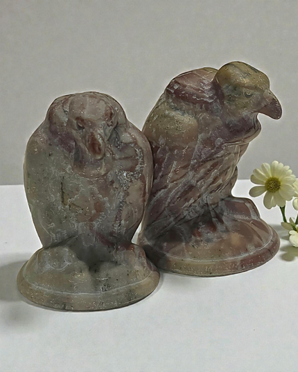 Picture jasper vulture carvings