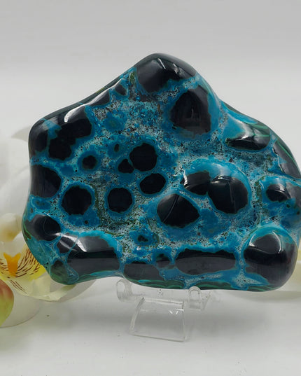 Stunning Chrysocolla & Malachite Freeforms