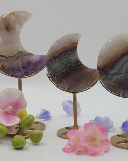 Crazy Lace/Amethyst Moons