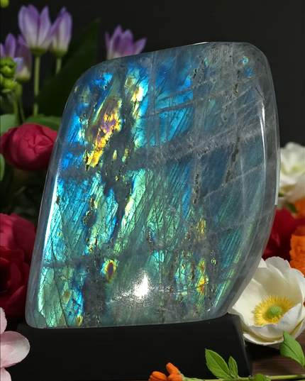Full flash high grade labrodorite freeform
