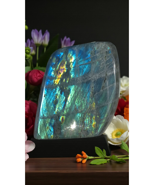 Full flash high grade labrodorite freeform