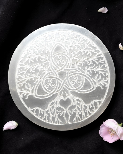 Salenite charging plates