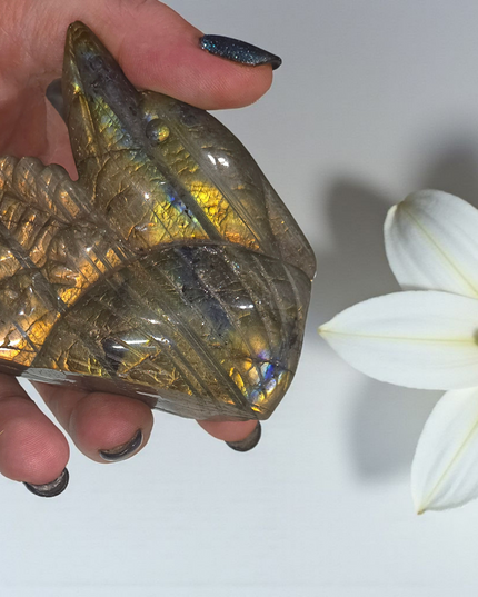 Full flash high grade labrodorite dolphin carving