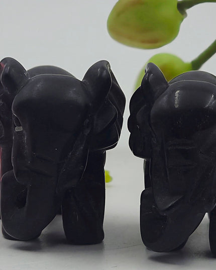 Elephant carvings