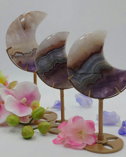 Crazy Lace/Amethyst Moons