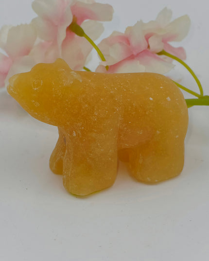 Adorable Bear Carvings