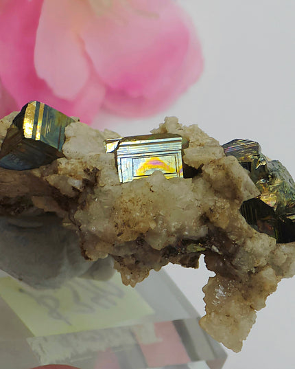 Super rare Pyrite from Vera Cruz, Mexico