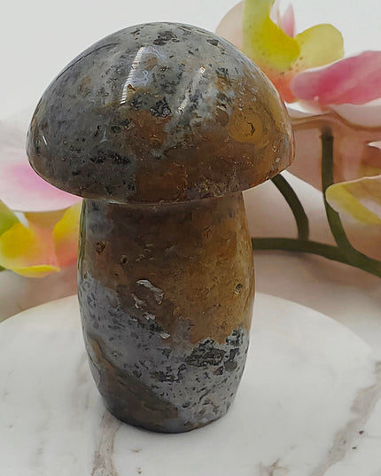 Ocean jasper mushroom