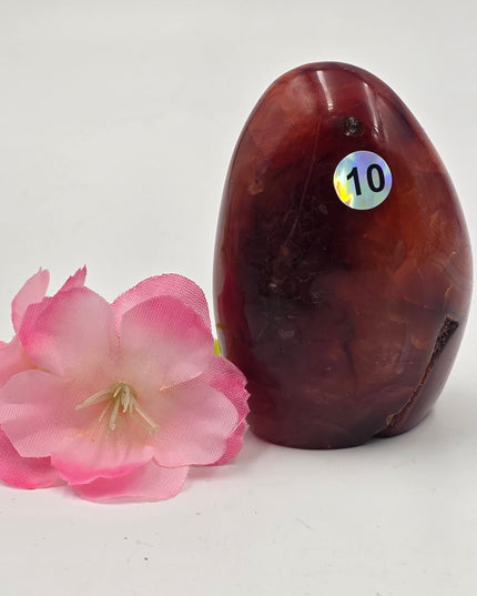 Madagascan Carnelian Agate freeforms