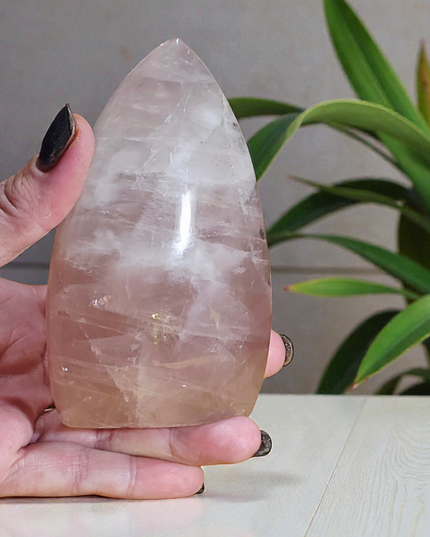 Rose quartz teardrop freeforms