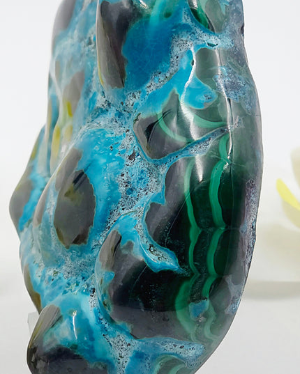 Stunning Chrysocolla & Malachite Freeforms