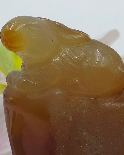 Madagascan Carnelian Rabbit Carving