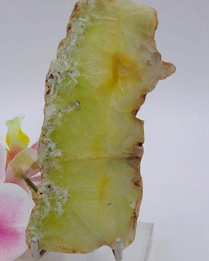 Prehnite slice with Natrolite