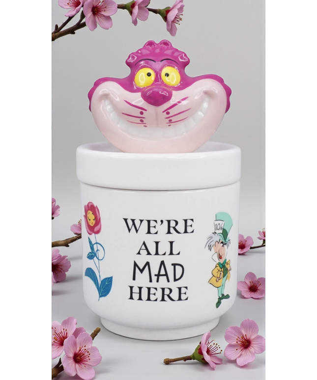 DISNEY COLLECTOR'S BOX: ALICE IN WONDERLAND