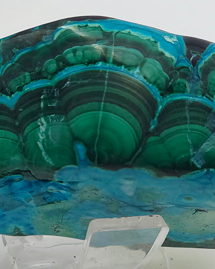 Stunning Chrysocolla & Malachite Freeforms