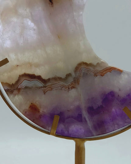 Crazy Lace/Amethyst Moons