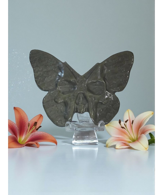 Gold sheen obsidian deathmoth