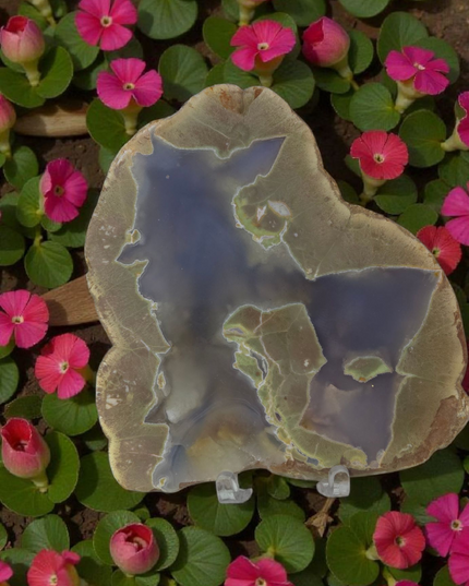 Purple agate thunder egg