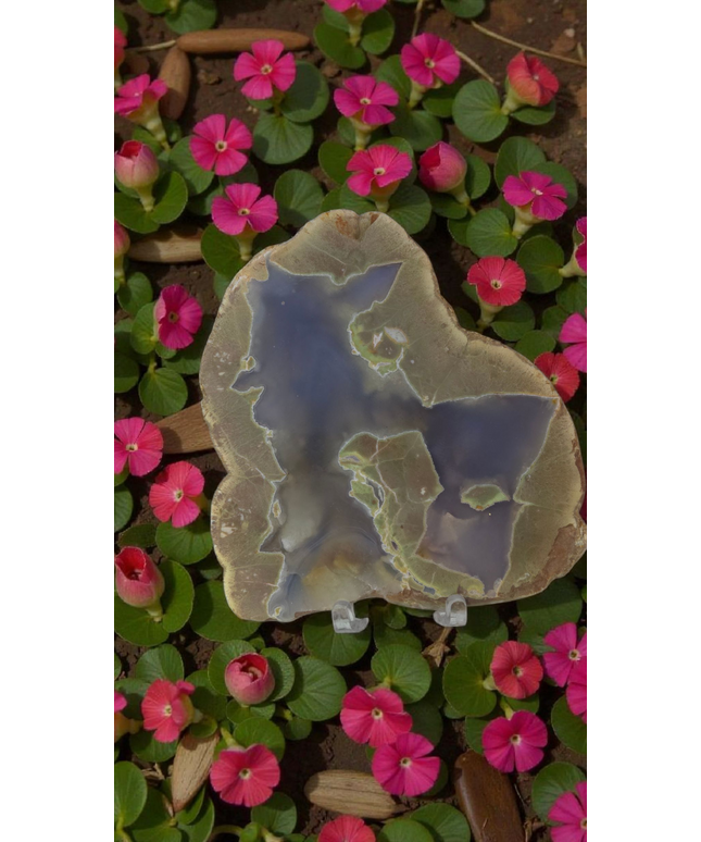 Purple agate thunder egg